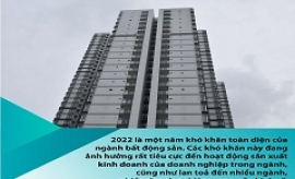 Nhìn lại những ‘điểm trũng’ của thị trường bất động sản 2022